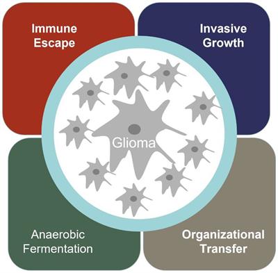 A review of clinical use of surface-enhanced Raman scattering-based biosensing for glioma